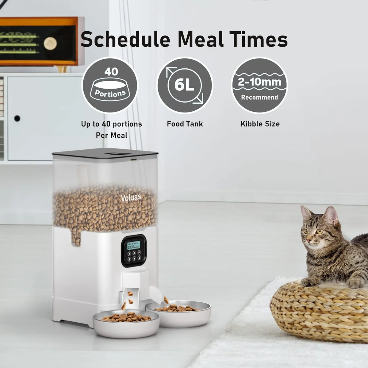 Automatic Cat Feeder with 2 Stainless Steel Bowls, 6L Timed F920498