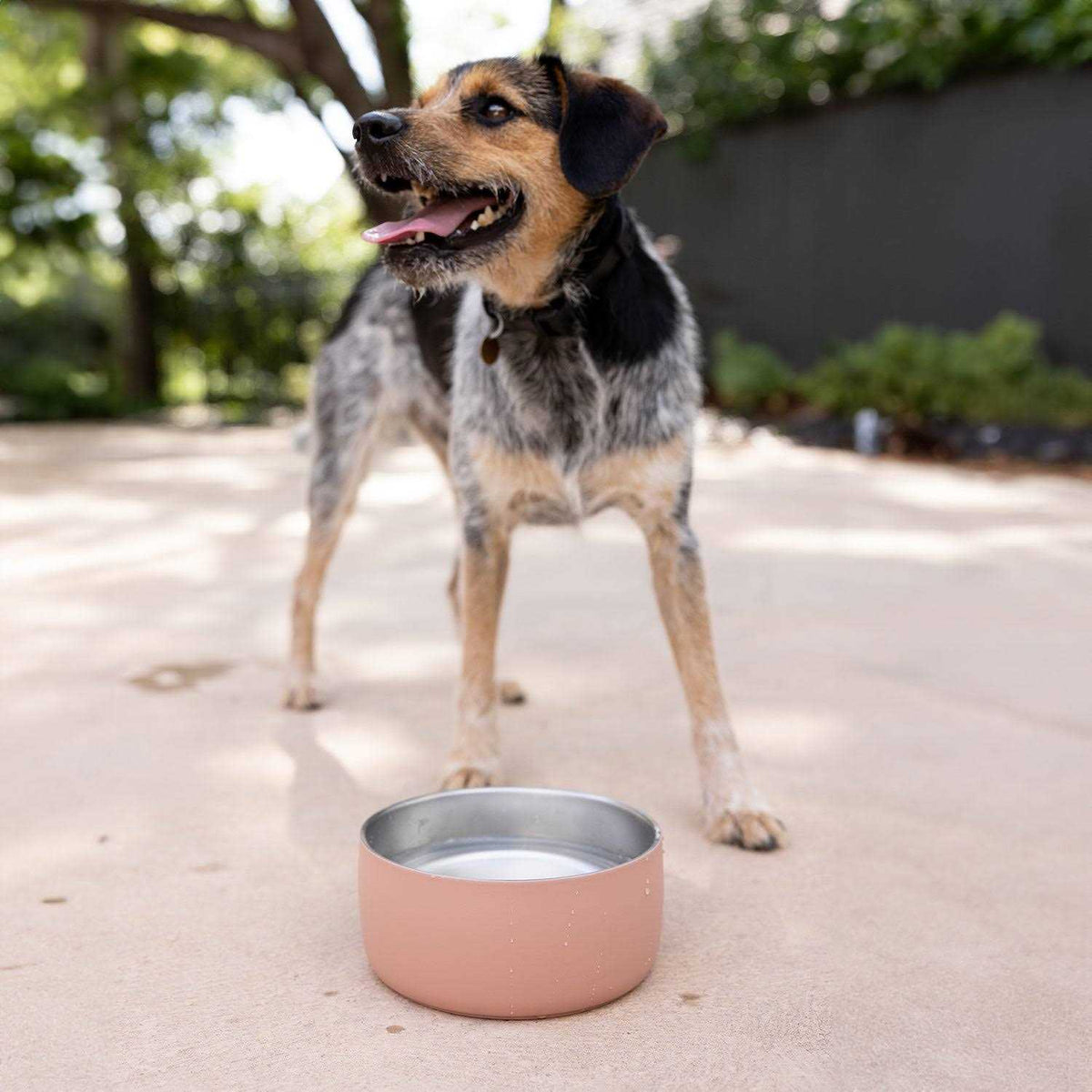 Stainless Steel Pet Water Bowl I670578