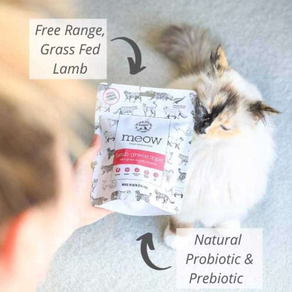 Freeze Dried Lamb Green Tripe Cat Treat Y56012