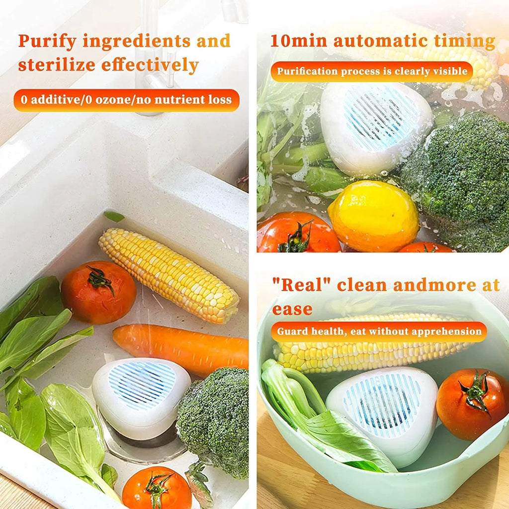 Fruit and Vegetable Washing Machine D5101