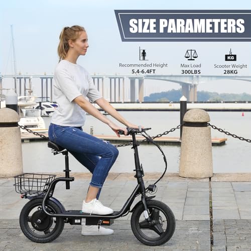 500W/800W/1200W Electric Scooter with Seat, 14" Fat Tire, Foldable R698