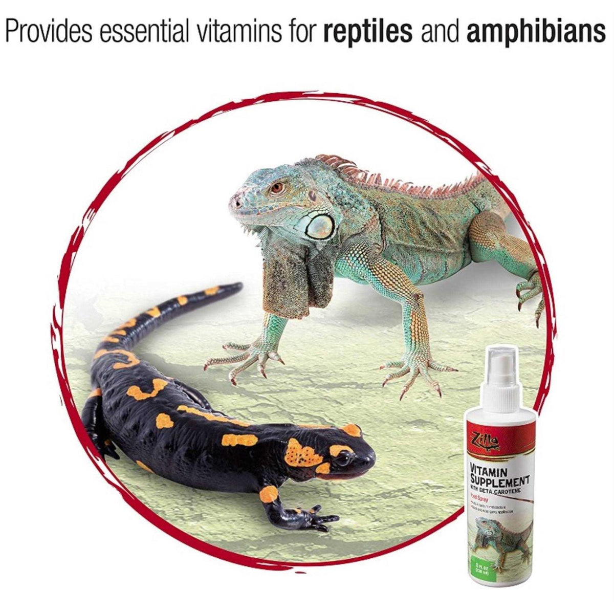 Vitamin Supplement with Beta Carotene M7135