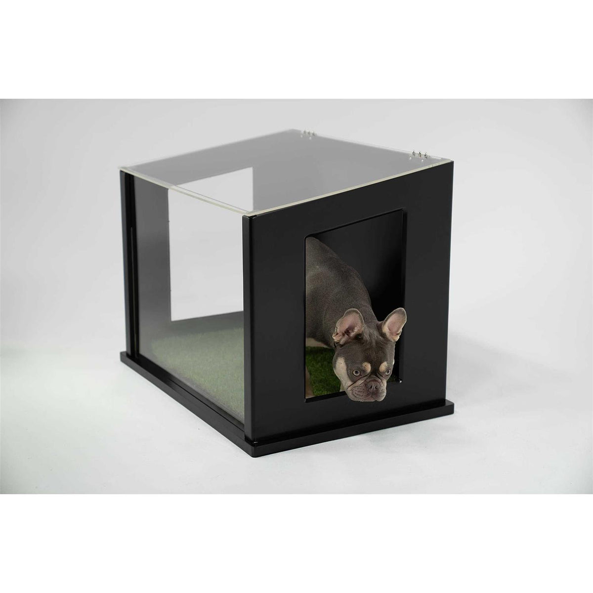 Dog or Cat Potty V329281