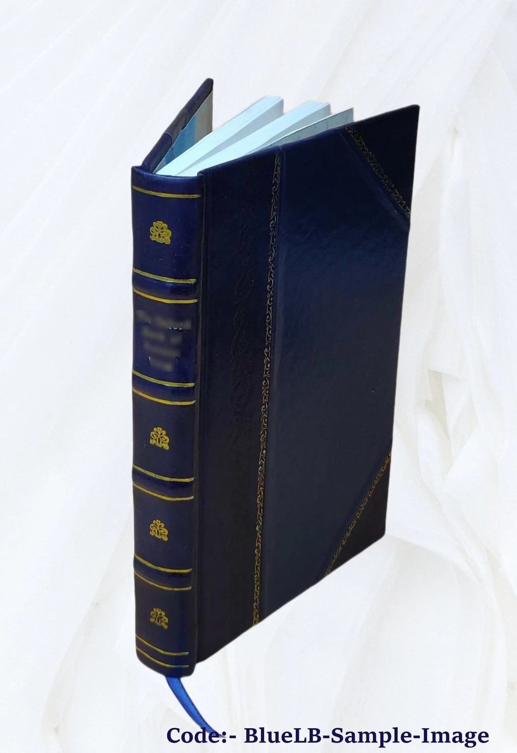 1905 Leather Bound X13410