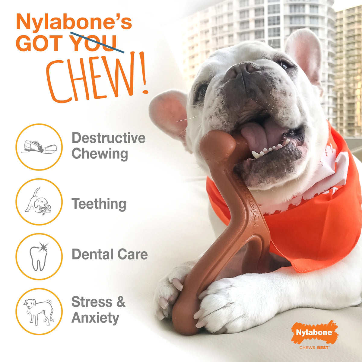 Bacon Flavored Durable Chew Toy for Dogs Large/Giant (1 Count) B192501