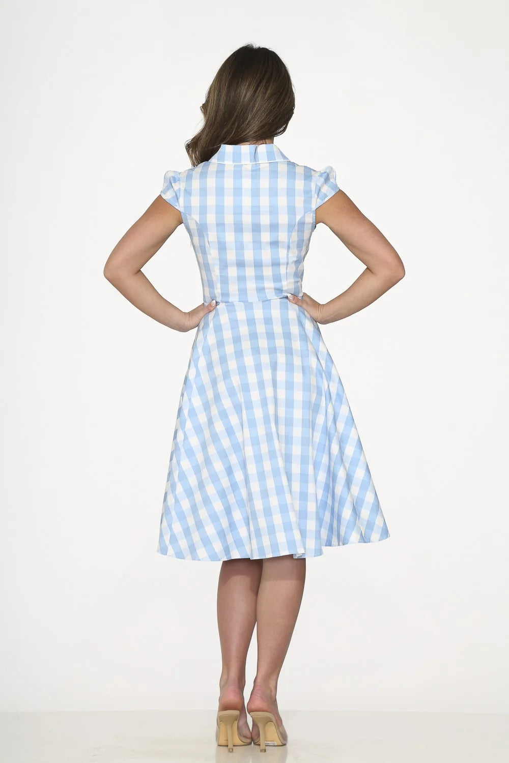 Blue Gingham Dress S933