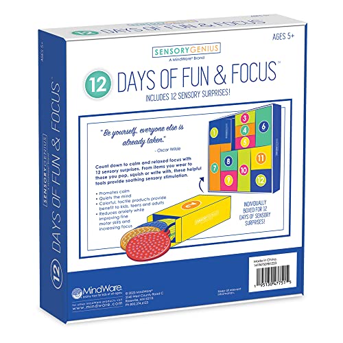 Fidget Advent Calendar A148253