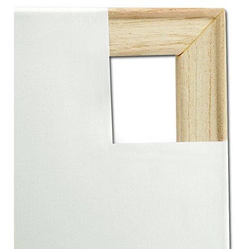 Cotton Canvas 20x24x22 Z36046