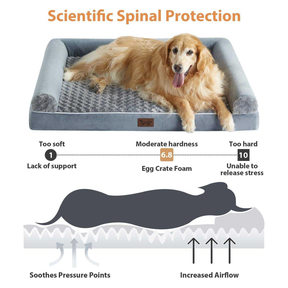 Orthopedic Egg Foam Dog Bed with Removable Washable Cover D70210