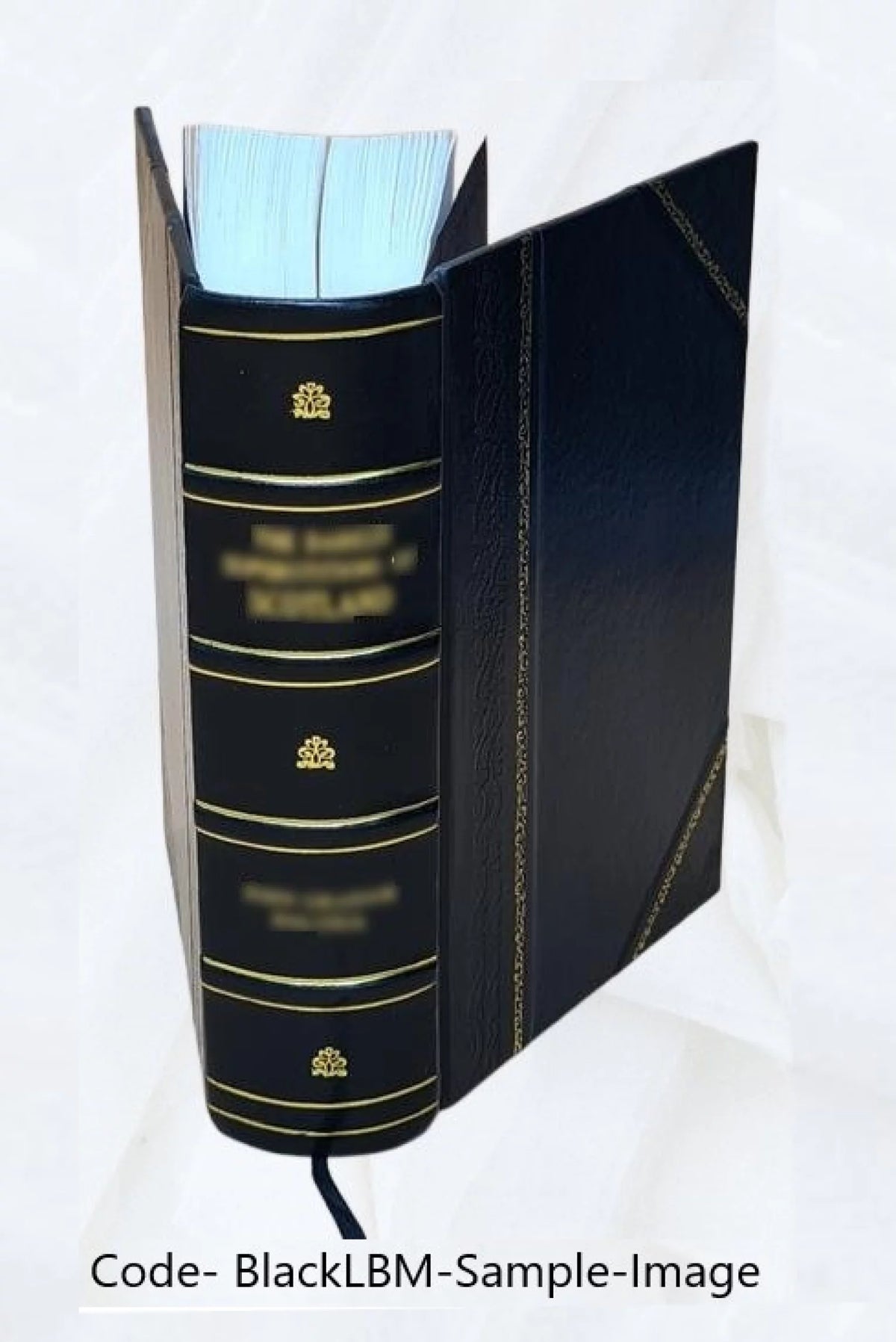 Journal de l'anatomie et de la physiologie normales et pathologiques de l'homme et des animaux Volume 45 Leather Bound M1806