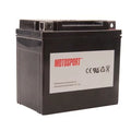 Maintenance-Free Battery with Acid P132536