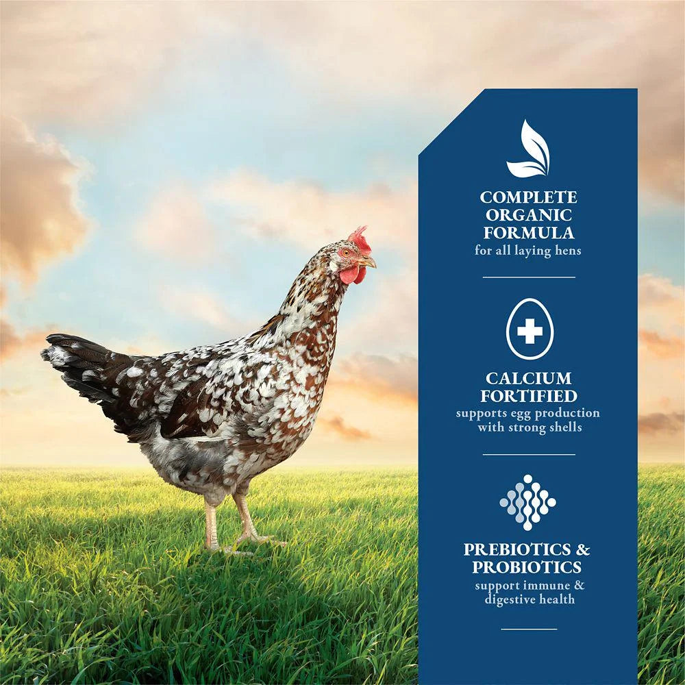 Organic 16% Layer Pellet Chicken Feed, 40 lb. N484898