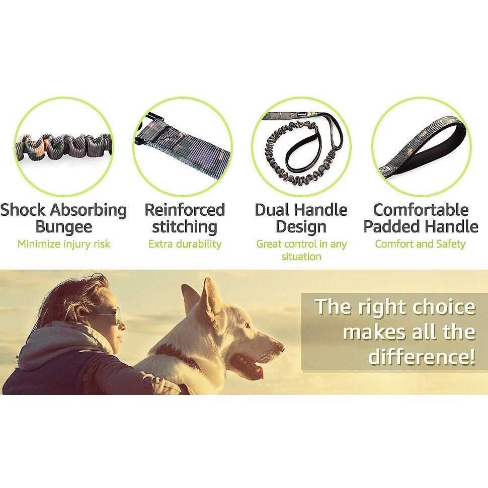 Two Handle Dog Leash with Shock Absorbing Q627