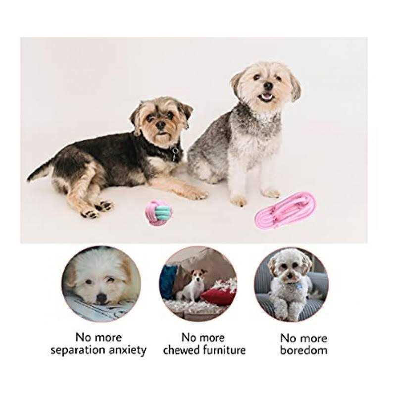 Dog Hanging Bungee Tug Toy D8173