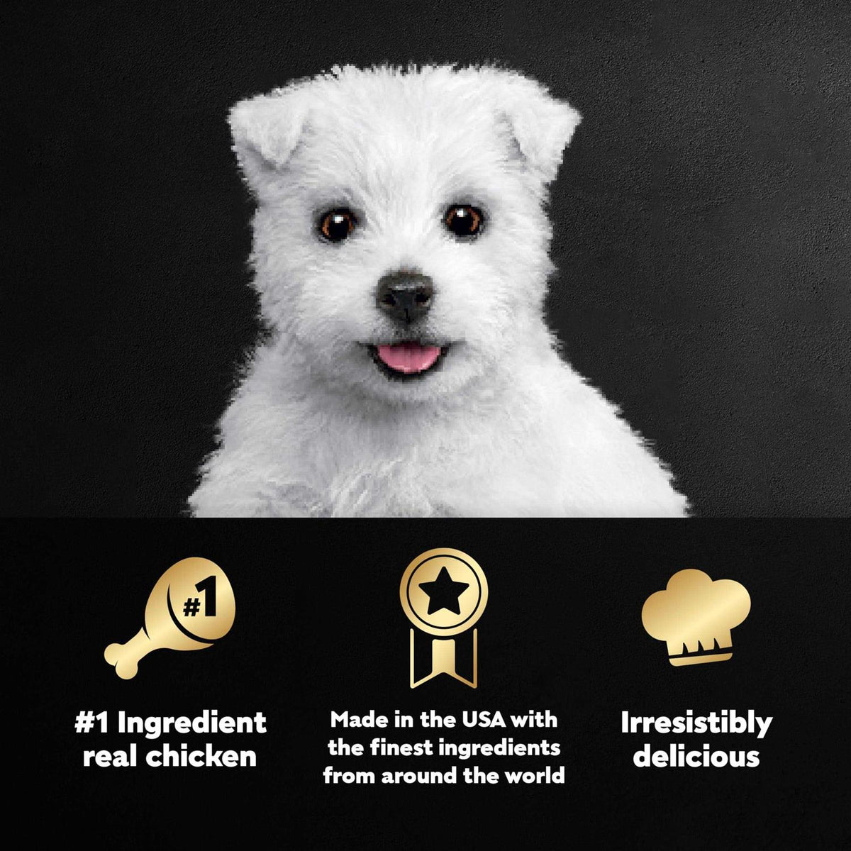 Chicken & Beef Recipe Wet Dog Food E78837