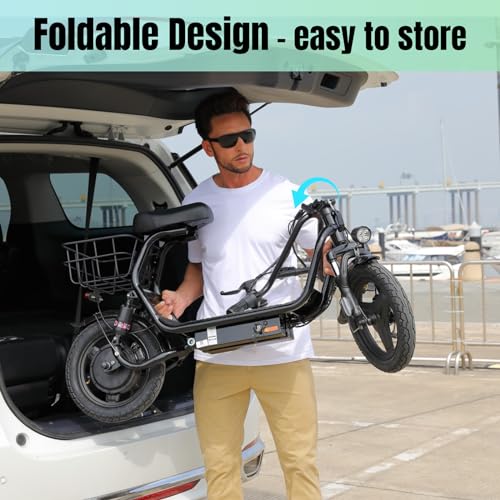 500W/800W/1200W Electric Scooter with Seat, 14" Fat Tire, Foldable R698
