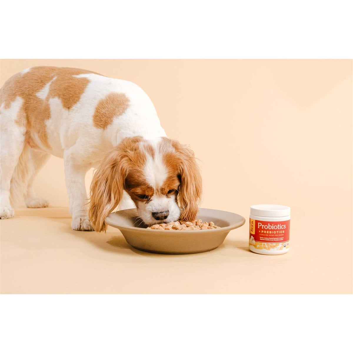 Probiotics with Organic Prebiotics for Dogs & Cats H28114