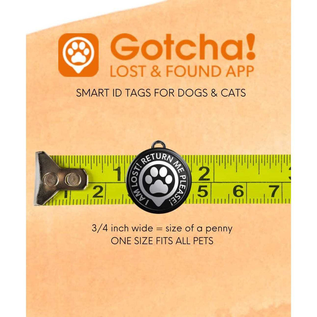 Smart Pet ID Tag for Dog & Cat Collars and Harnesses H373
