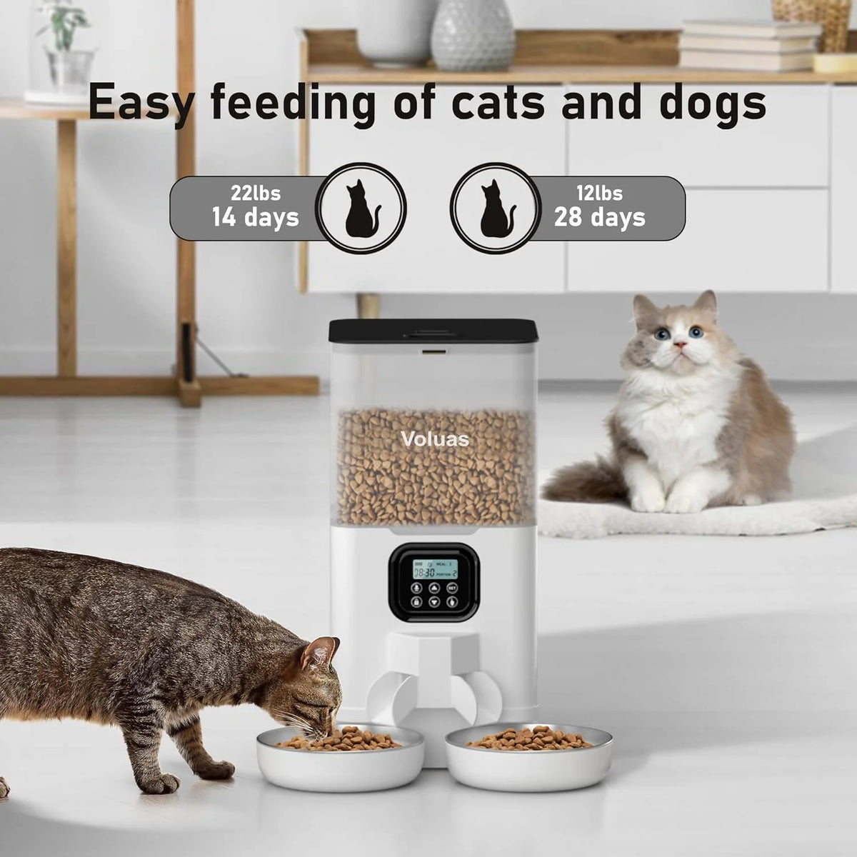 Automatic Cat Feeder with 2 Stainless Steel Bowls, 6L Timed F920498
