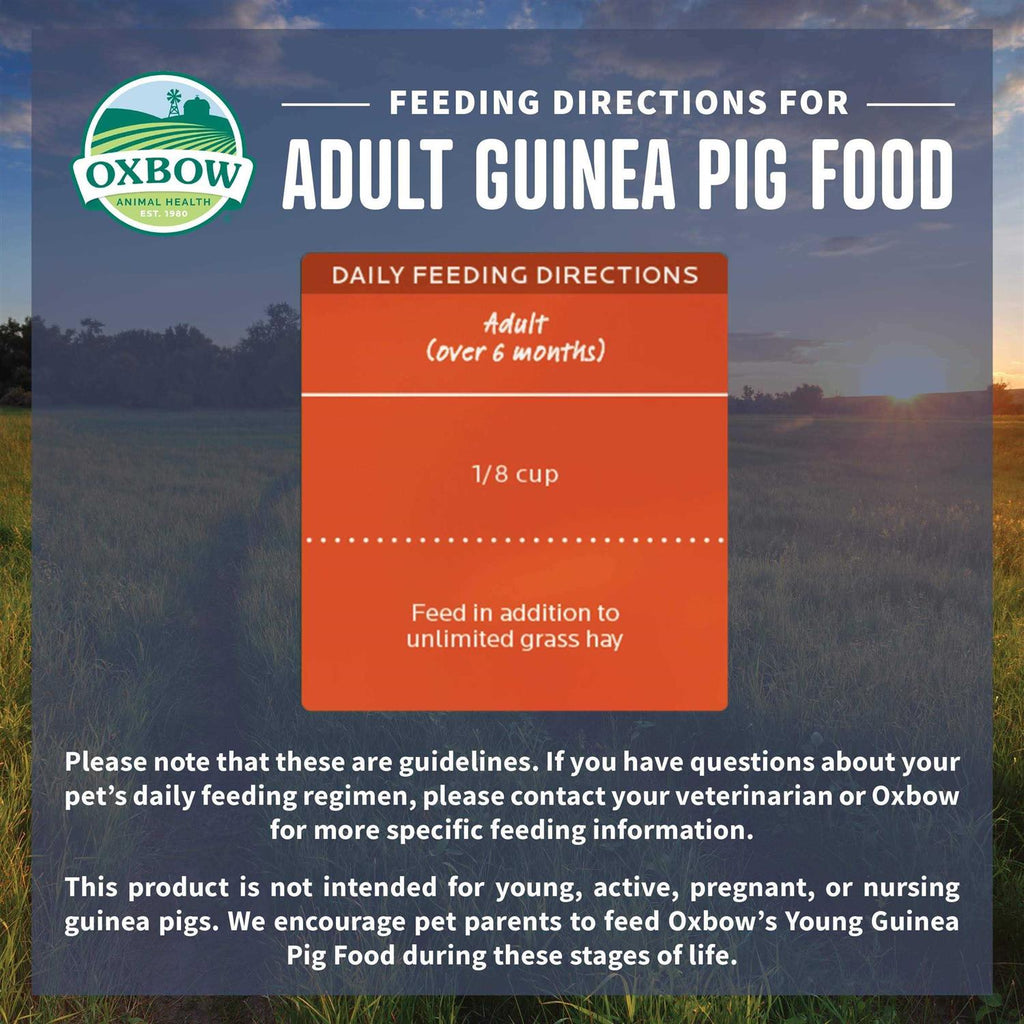Adult Guinea Pig Food Q4429