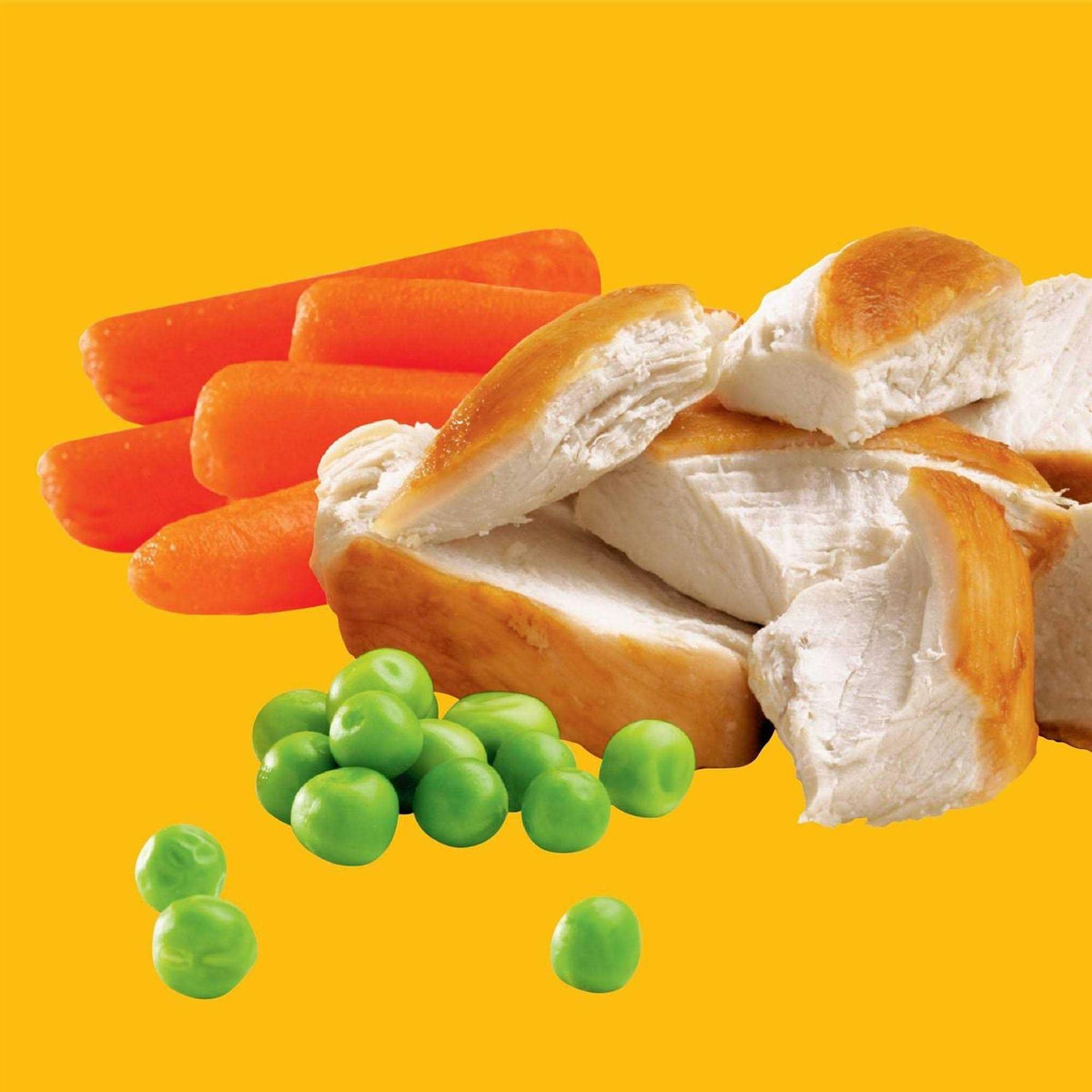 Chicken & Vegetable Dry Dog Food N60071