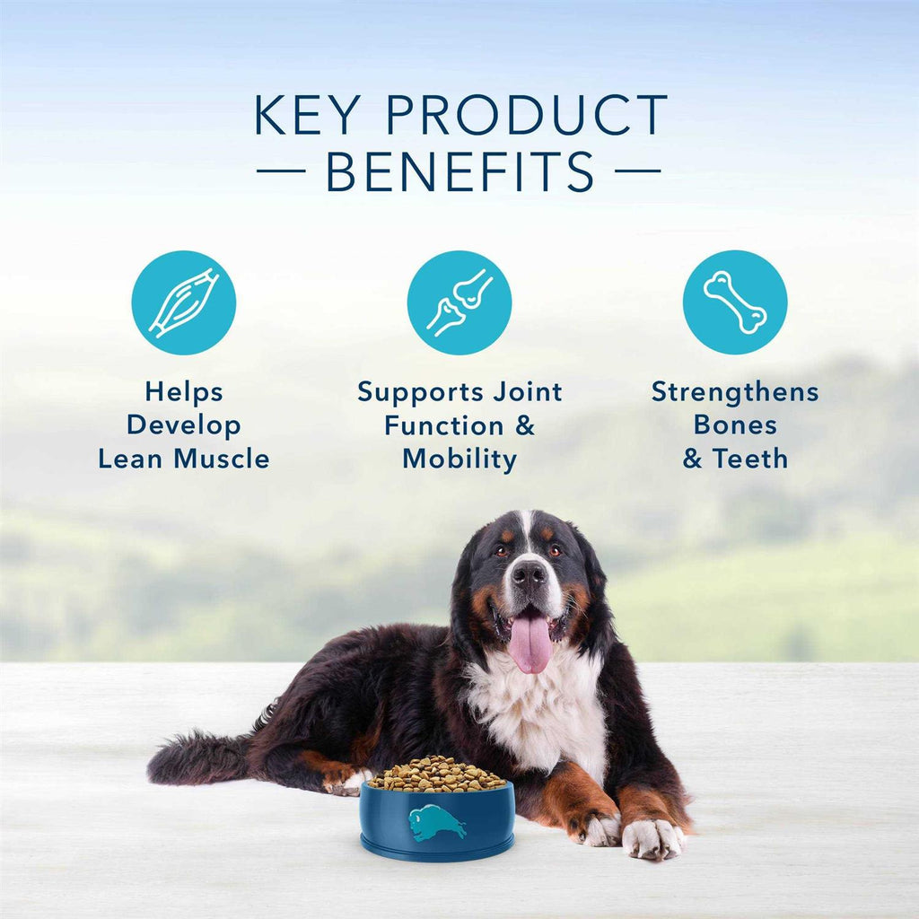 Natural Adult Large Breed Chicken and Brown Rice Dry Dog Food P985805