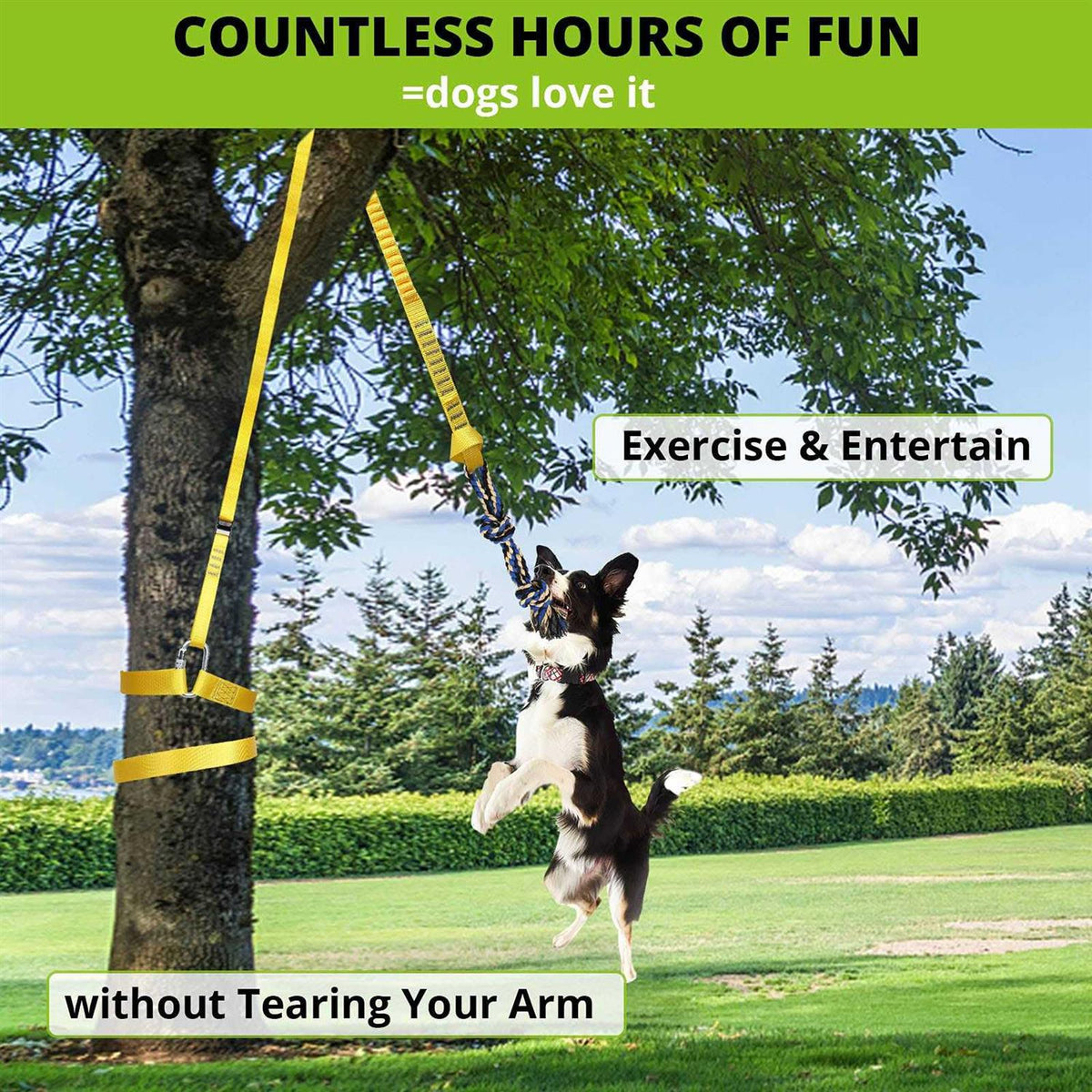 Dog Hanging Bungee Tug Toy D8173