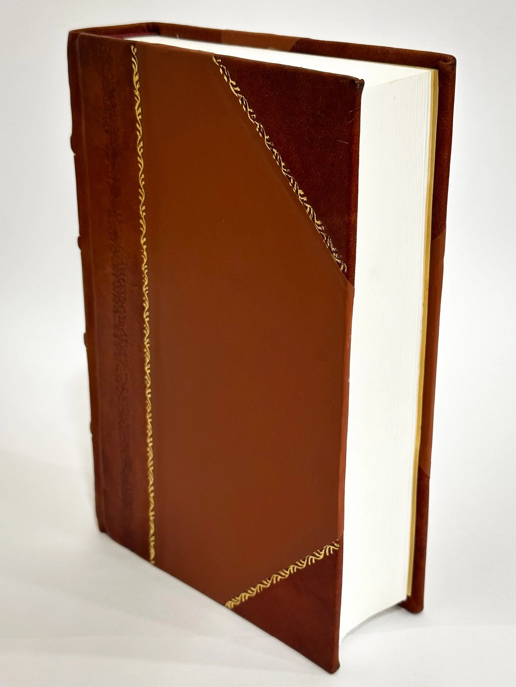 Historical Tour through Pembrokeshire Leather Bound M343