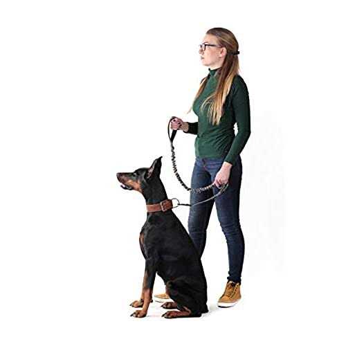 Two Handle Dog Leash with Shock Absorbing Q627