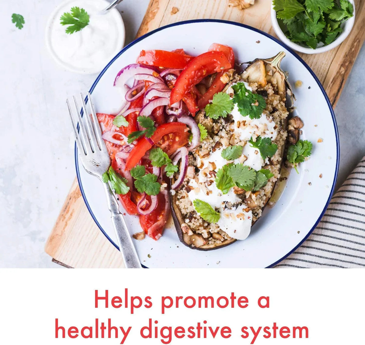 100 ct Probiotic with Bacillus Coagulans V1143