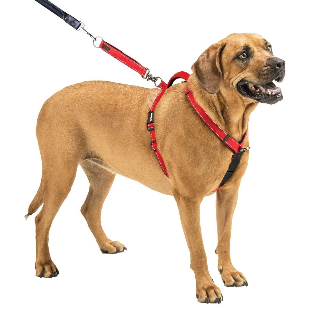 Ultimate Control Harness L61179