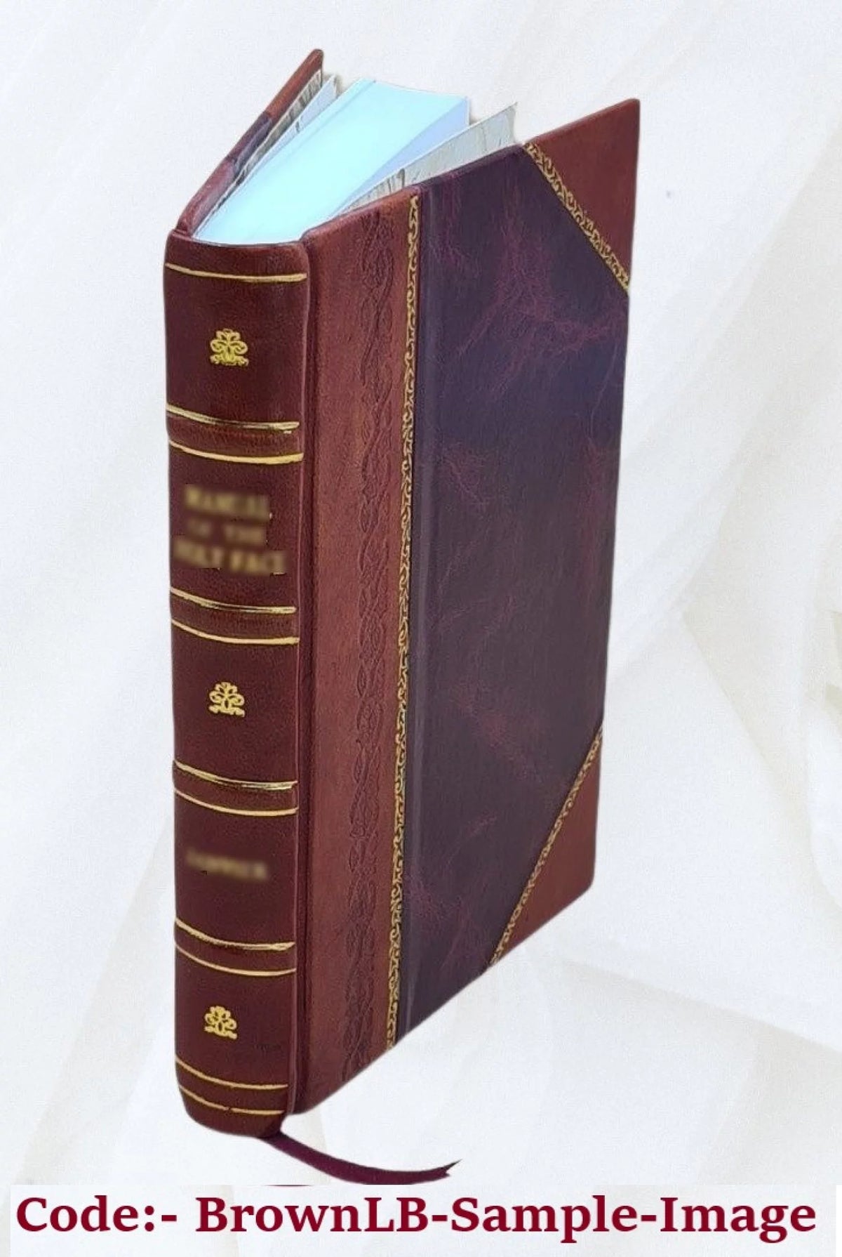 1905 Leather Bound X13410