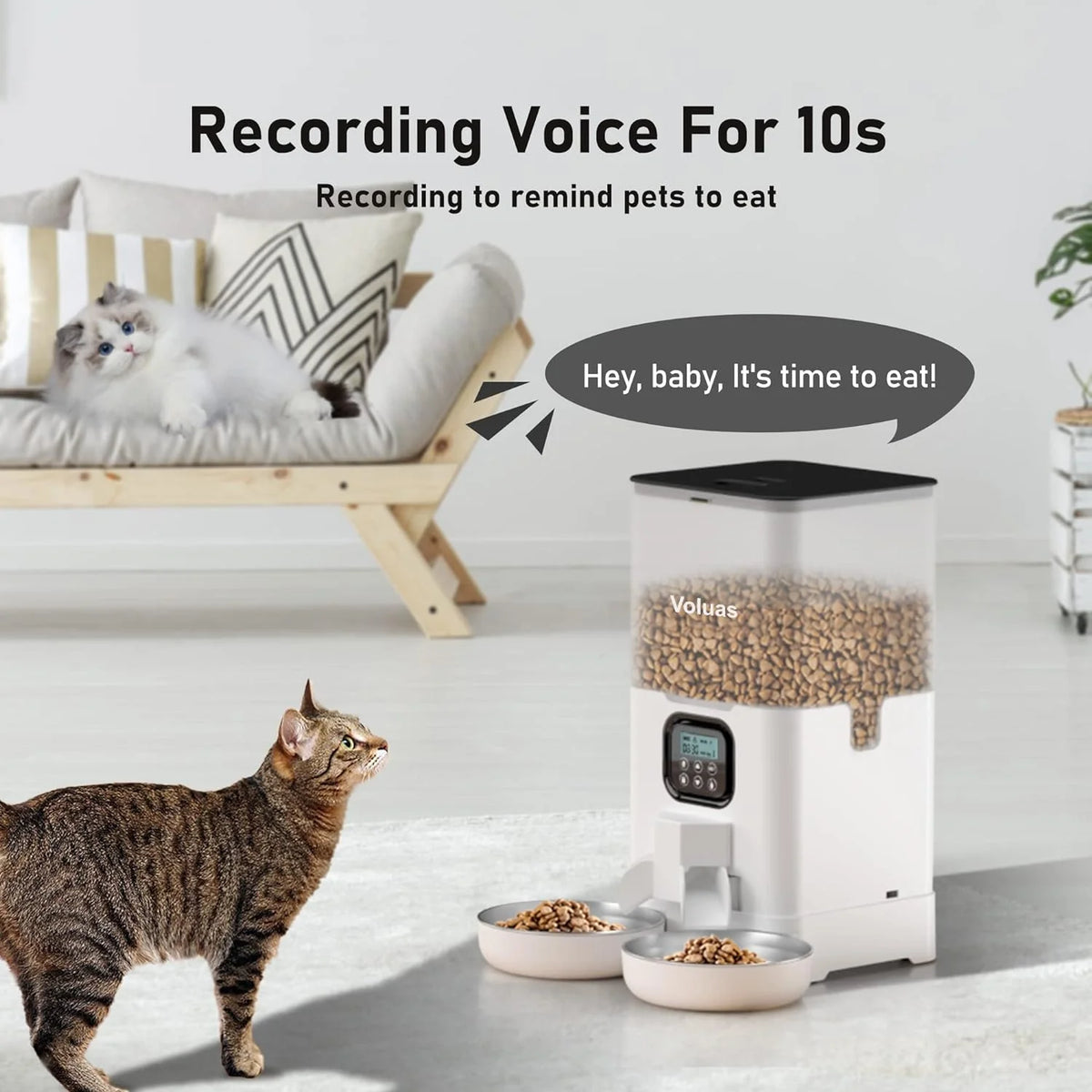 Automatic Cat Feeder with 2 Stainless Steel Bowls, 6L Timed F920498