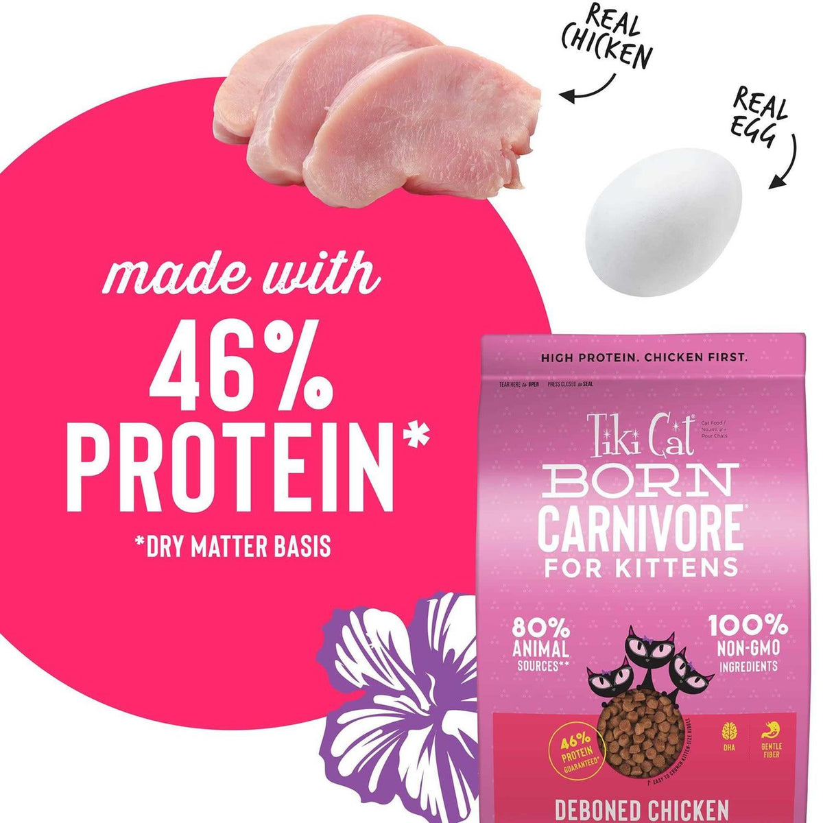 Chicken & Egg Kitten Dry Food T225401