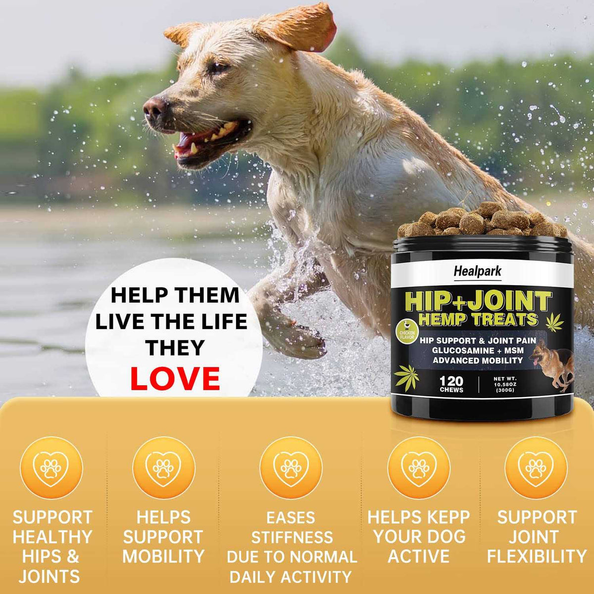 Hemp Hip and Joint Supplement for Dogs X3258