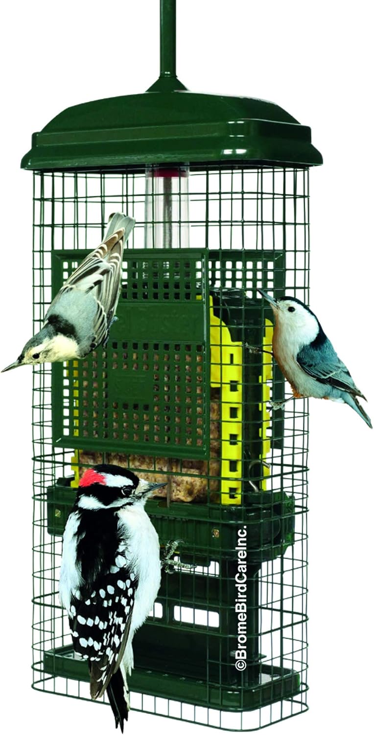 Green Suet Bird Feeder with 2 Suet Cake Trays X923