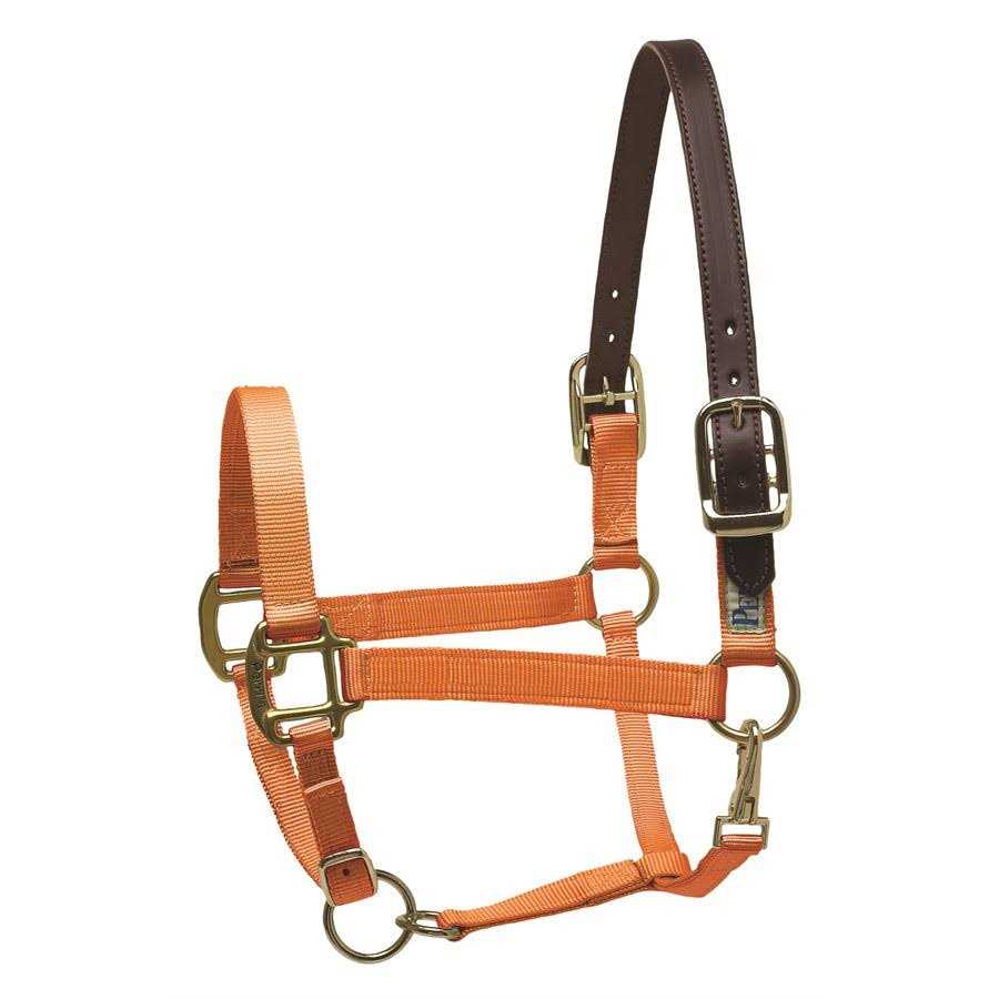 MSM Pet Supplies B7534