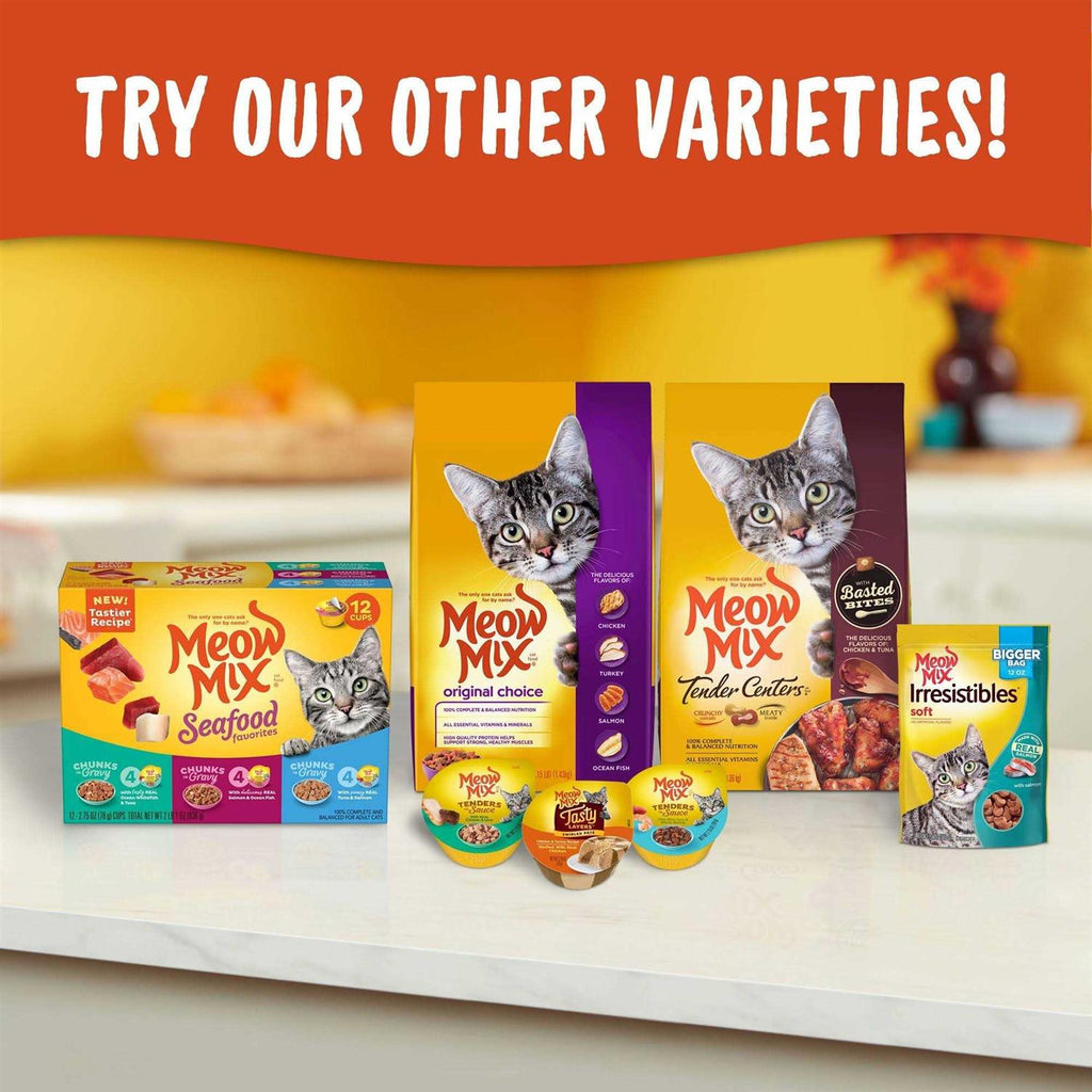 Indoor Dry Cat Food Y875