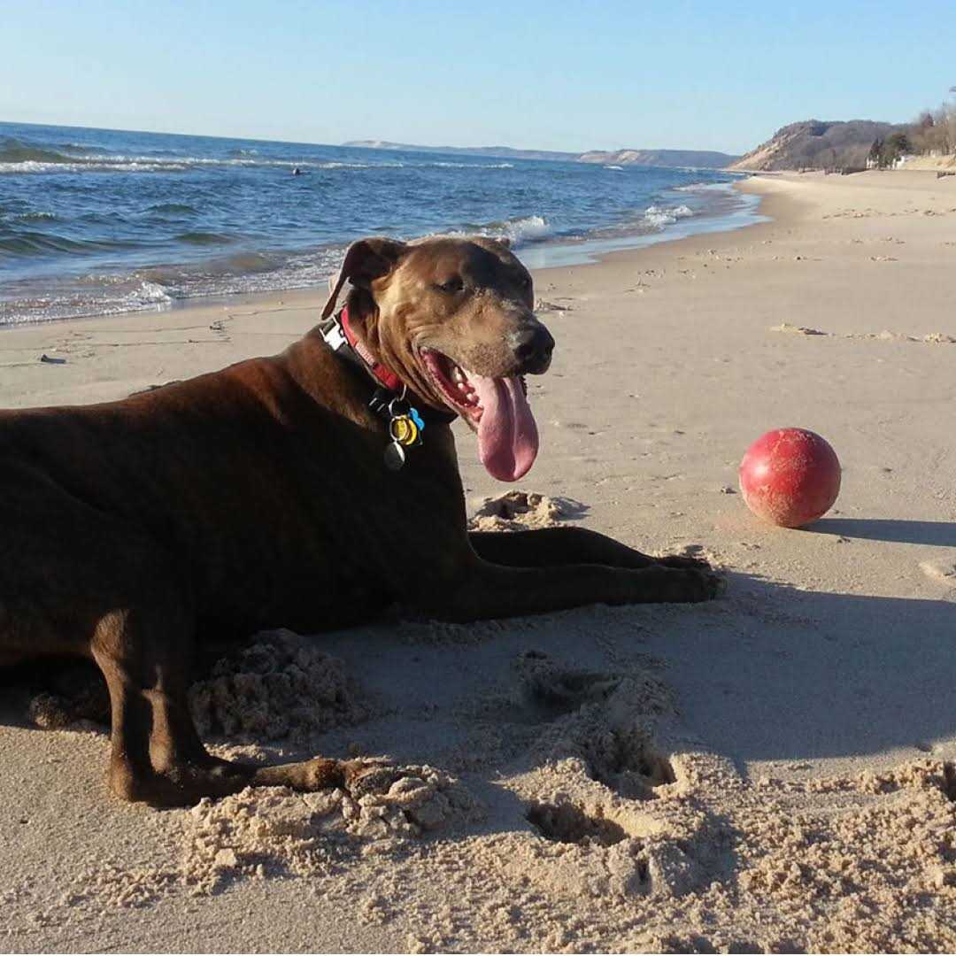 Push n Play Ball A990