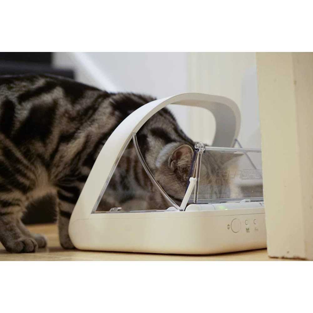Microchip Pet Feeder U302799
