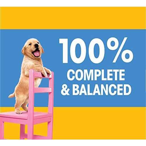 Chicken & Vegetable Dry Dog Food N60071