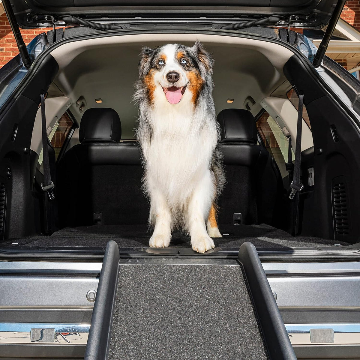 62 Inch Portable Folding Pet Ramp R326