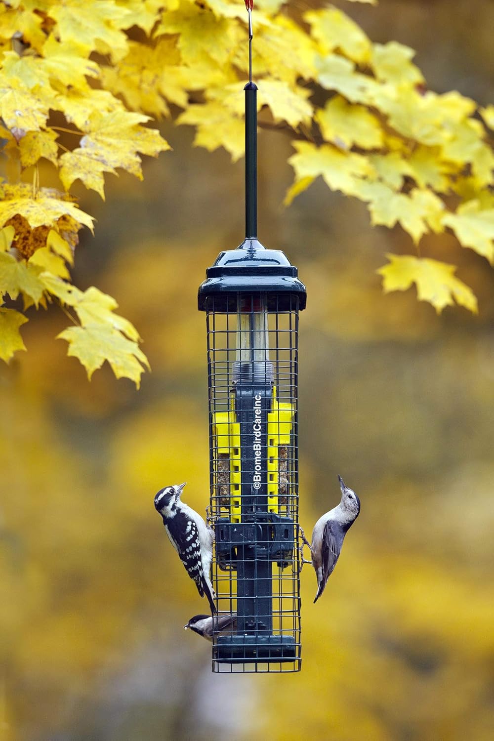 Green Suet Bird Feeder with 2 Suet Cake Trays X923