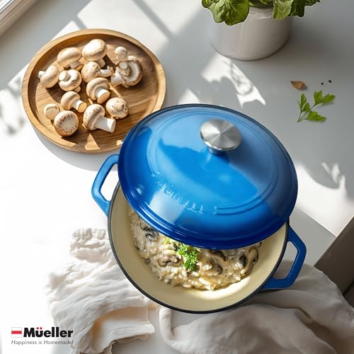 6qt Enameled Cast Iron Dutch Oven with Lid W620883