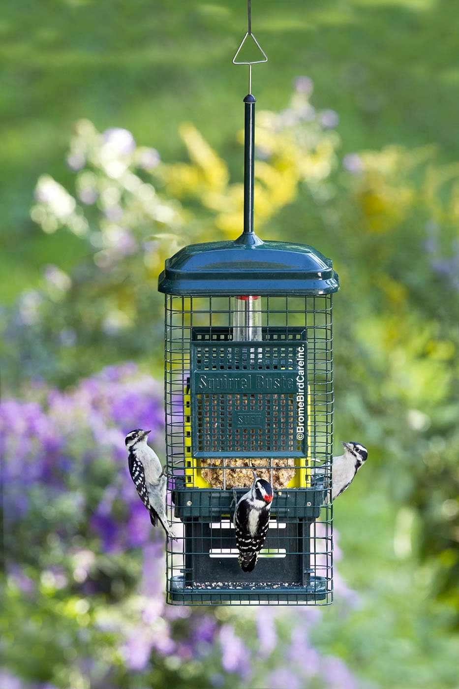 Green Suet Bird Feeder with 2 Suet Cake Trays X923