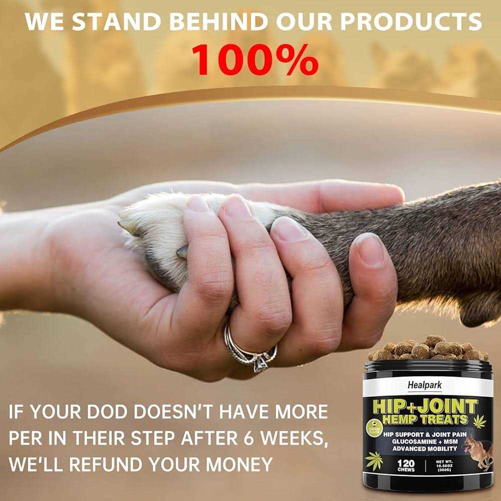 Hemp Hip and Joint Supplement for Dogs X3258