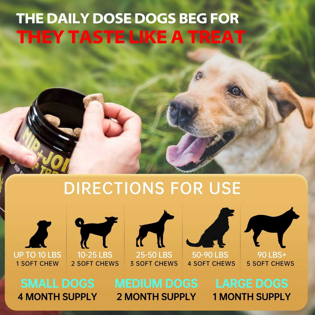 Hemp Hip and Joint Supplement for Dogs X3258