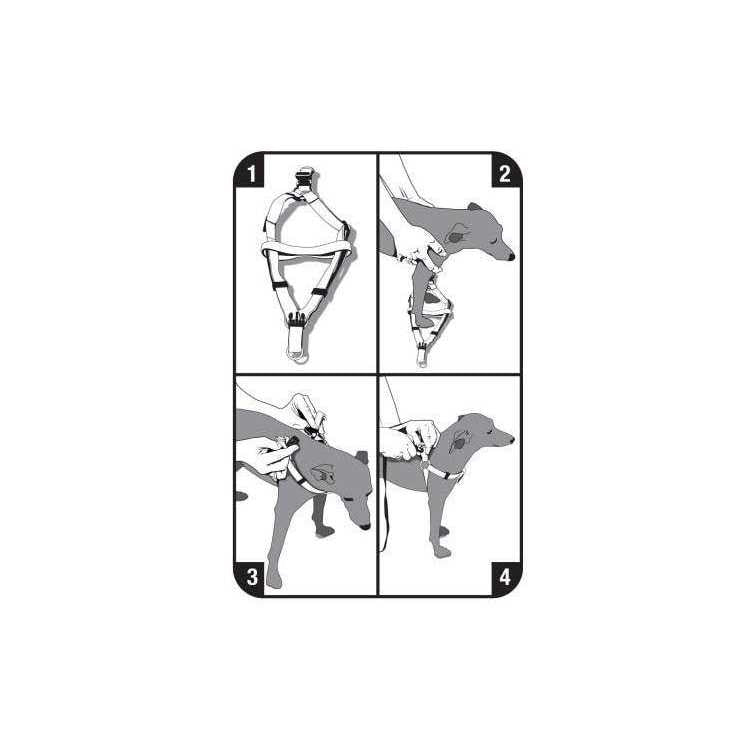 Step-In Dog Harness Y22080