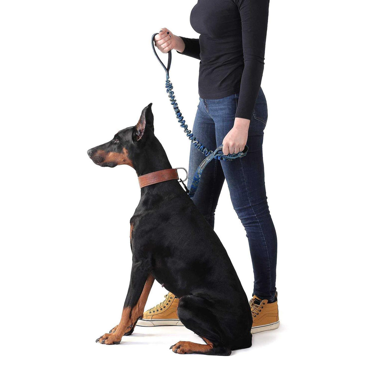 Two Handle Dog Leash with Shock Absorbing Q627