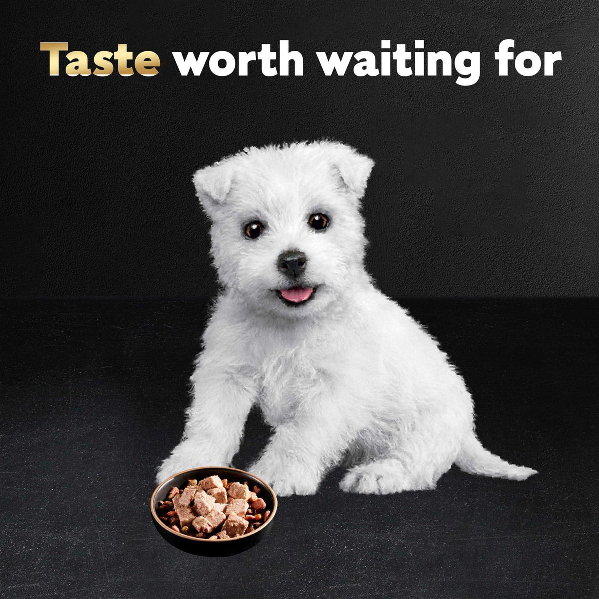 Chicken & Beef Recipe Wet Dog Food E78837